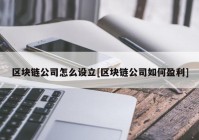 区块链公司怎么设立[区块链公司如何盈利]